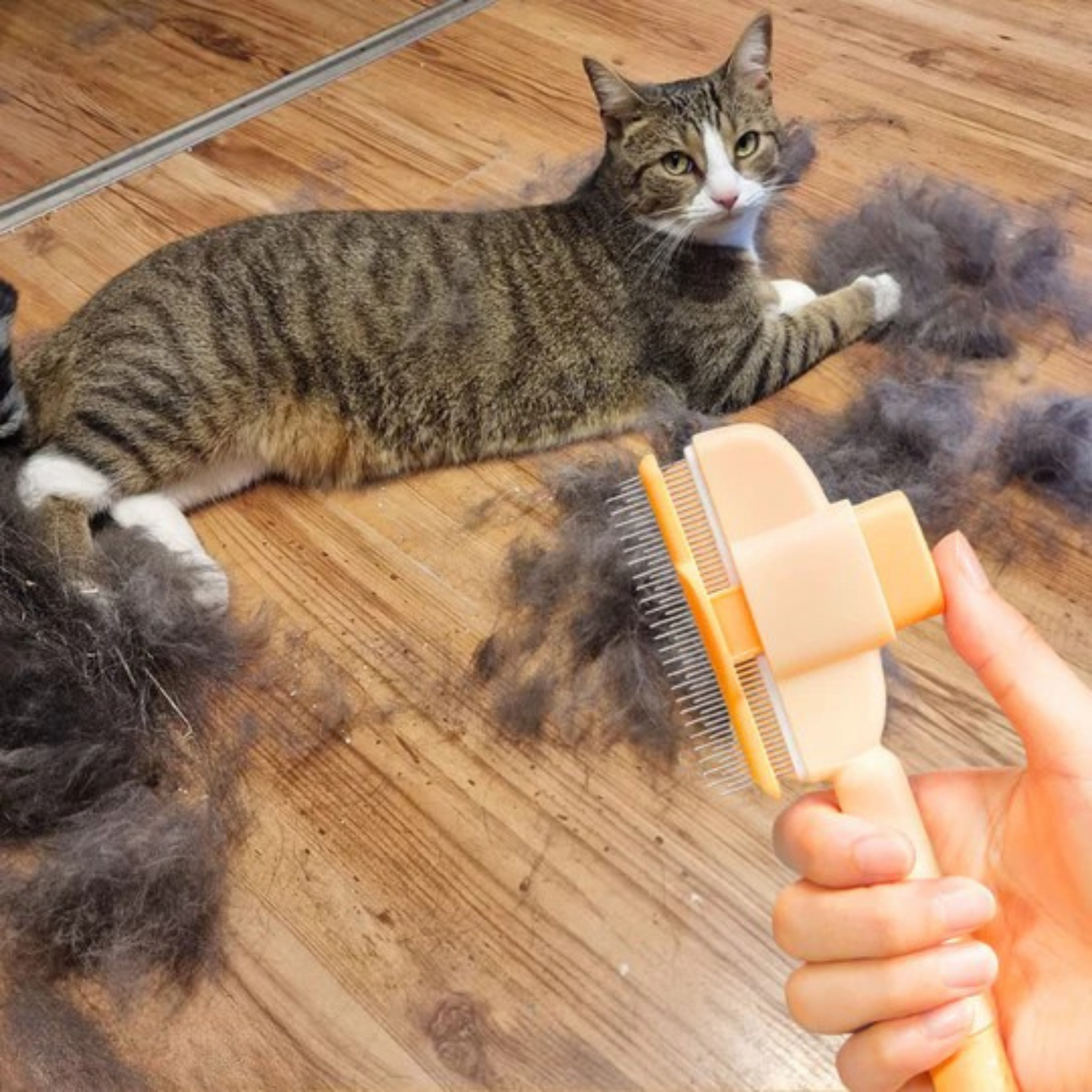 Spazzola antipeli per gatti