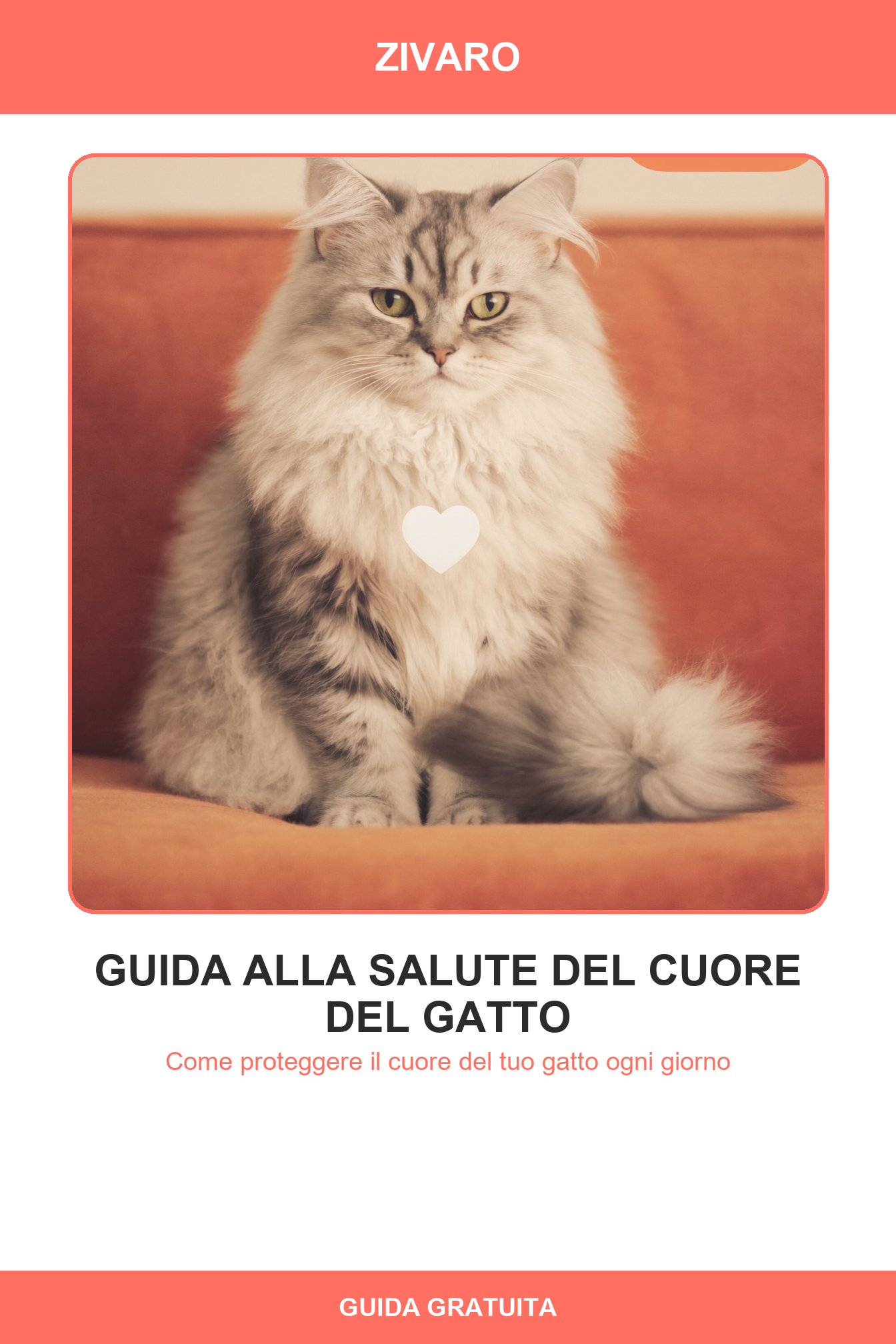 Guida alla Salute del Cuore del Gatto