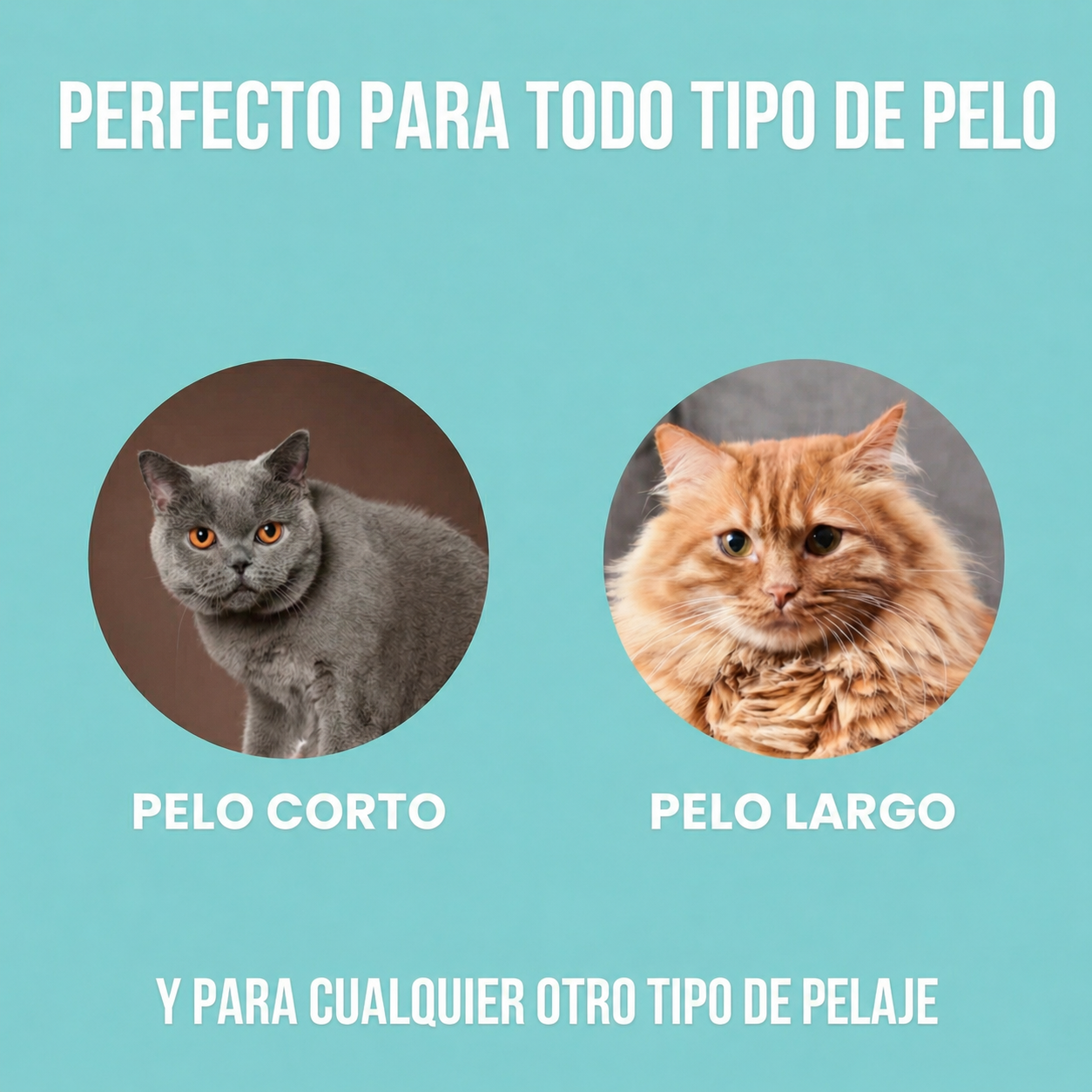 Cepillo antiepelo para gatos