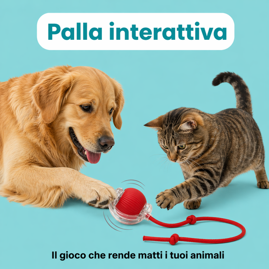 ZampaPlay™ - Palla interattiva