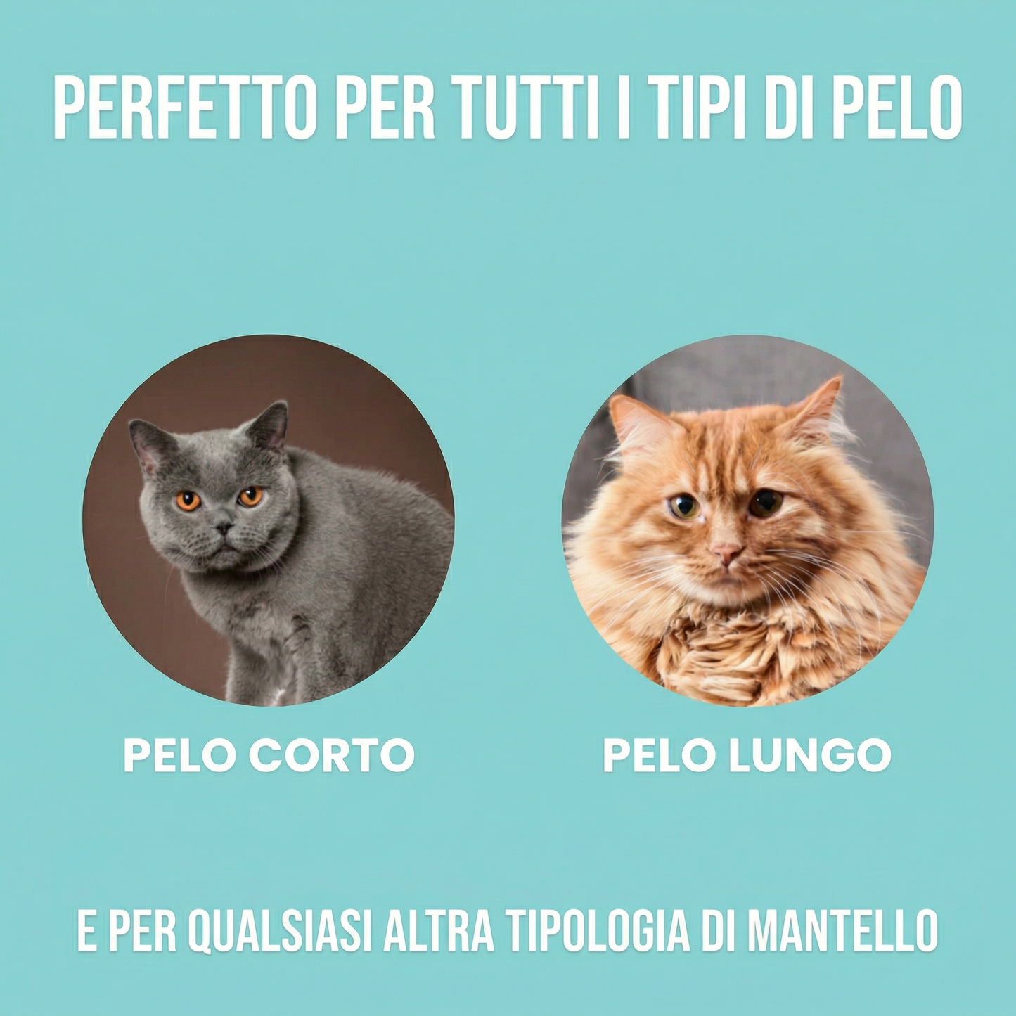 Spazzola antipeli per gatti