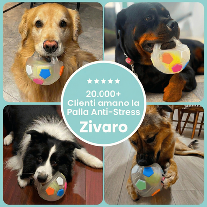 Pallina anti-stress – Il più venduto