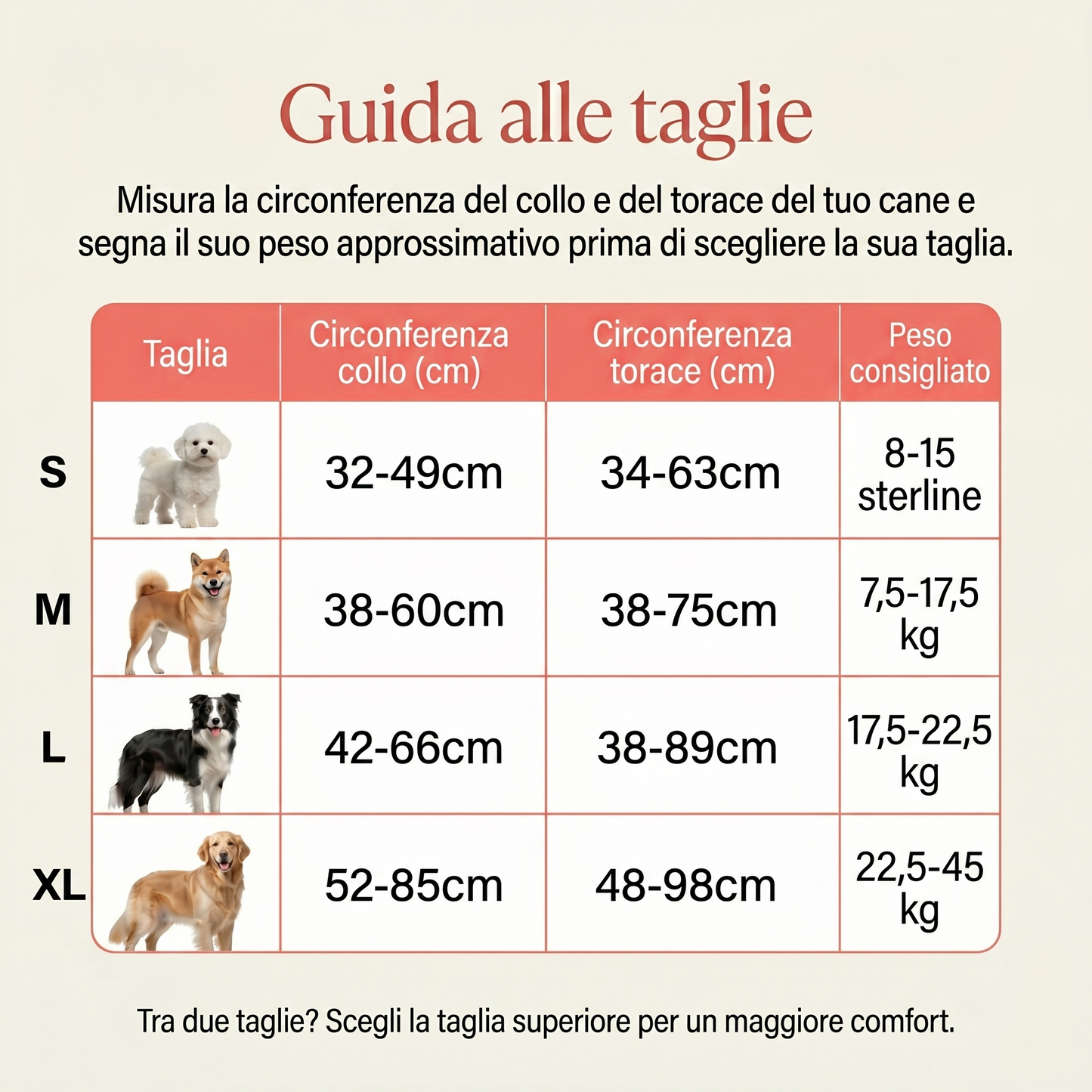 Pettorina Anti-Trazione Zivaro™