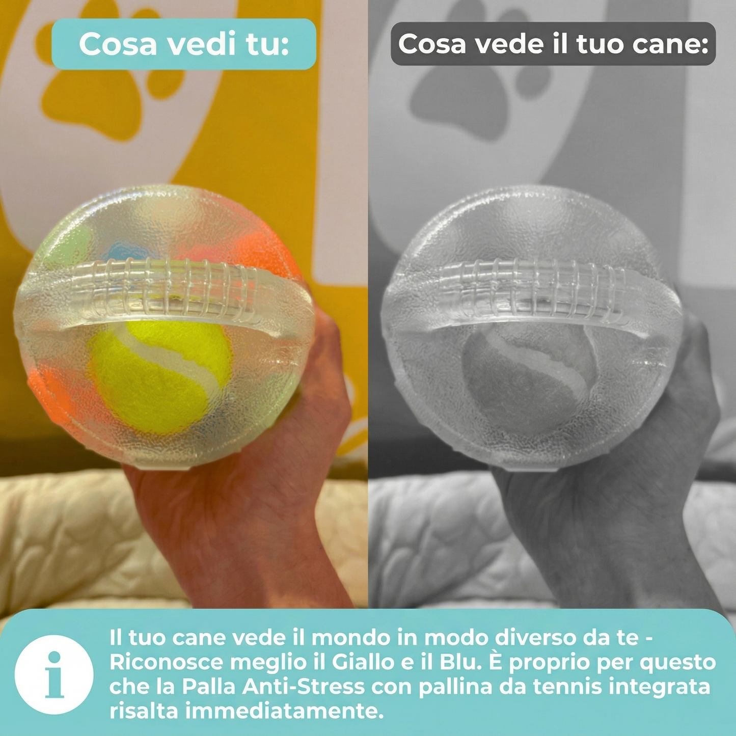 Pallina anti-stress – Il più venduto