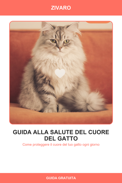 Guida alla Salute del Cuore del Gatto